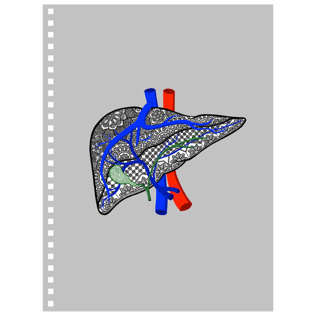 Liver - Notebook