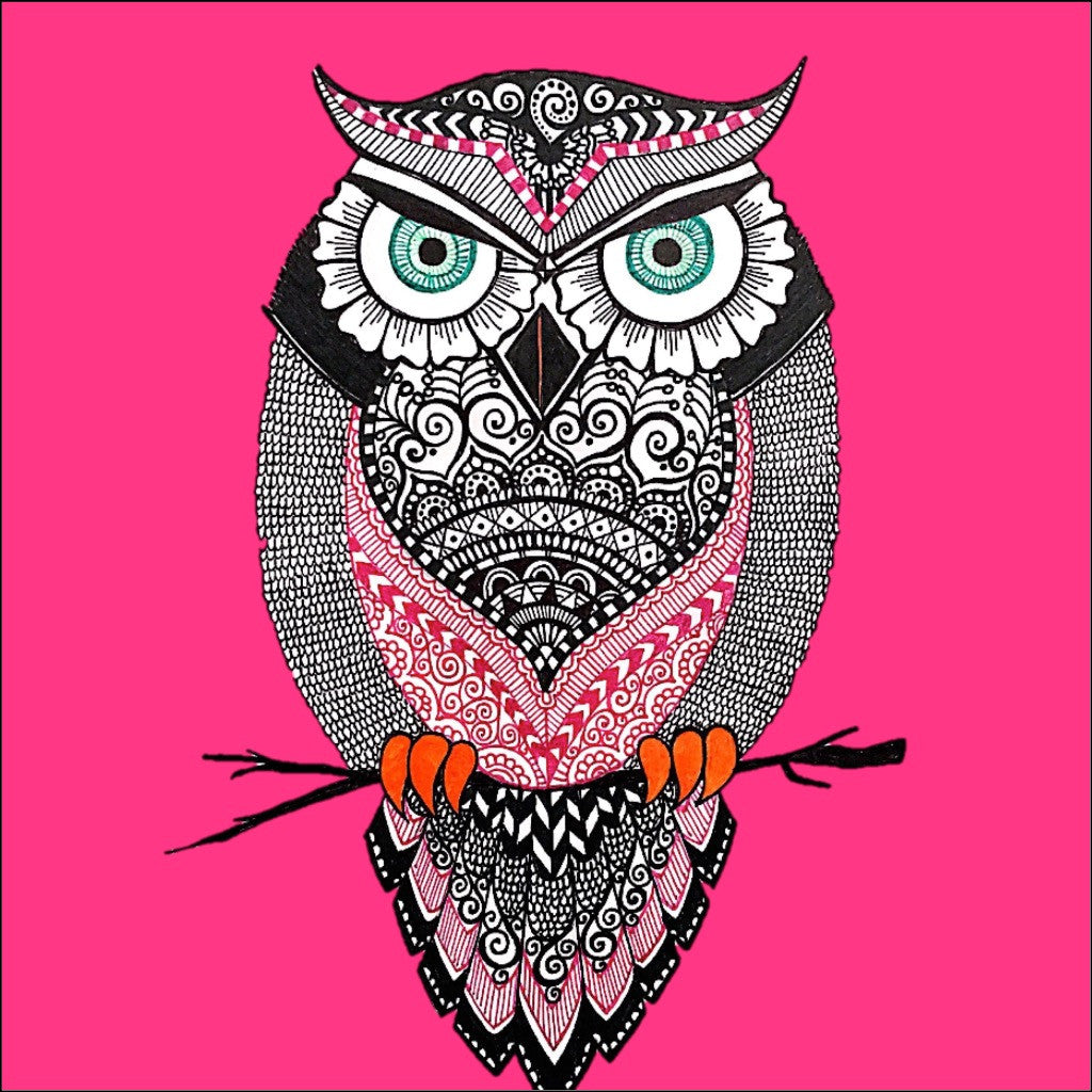 Jack of Owl Trades