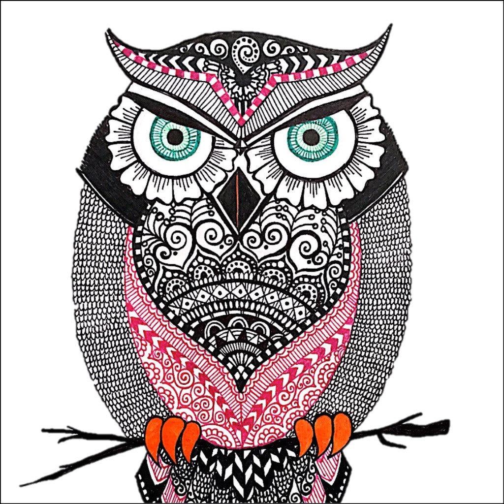 Jack of Owl Trades