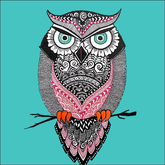 Jack of Owl Trades