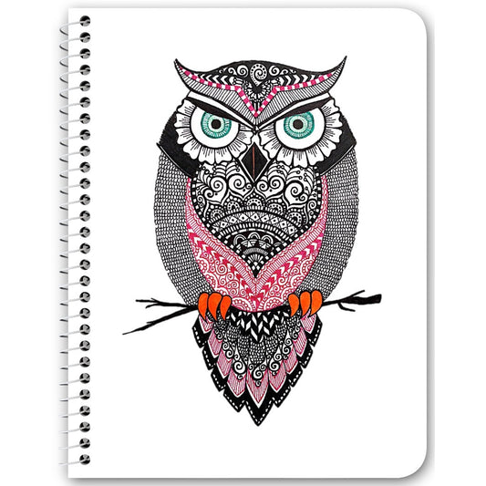 Jack of Owl Trades