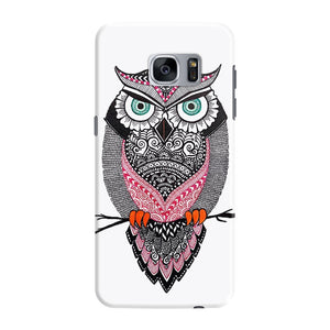 Jack of Owl Trades