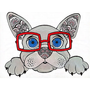 DR. pupper