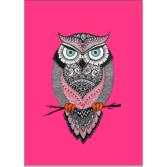 Jack of Owl Trades