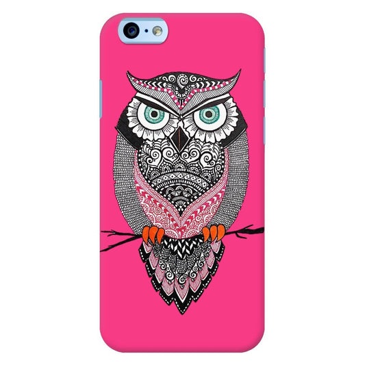 Jack of Owl Trades