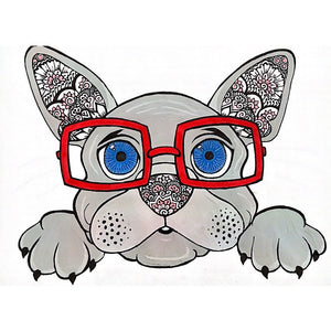 DR. pupper