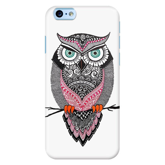 Jack of Owl Trades